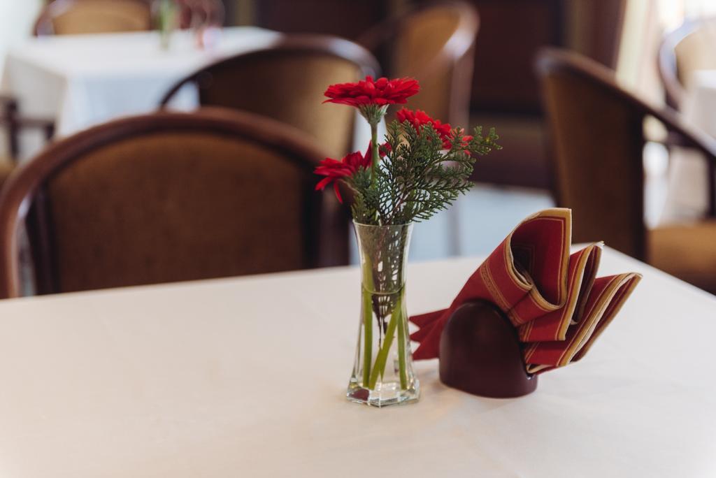 Biplan Hotel داوُجافبيلسْ المظهر الخارجي الصورة